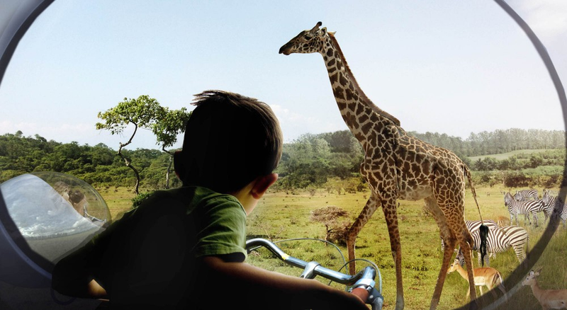 Illustration for article titled A Redesigned Zoo Where Humans Stay Hidden Could Be Better For Animals